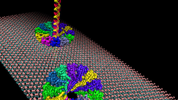 RNA nanomotor artificial pores